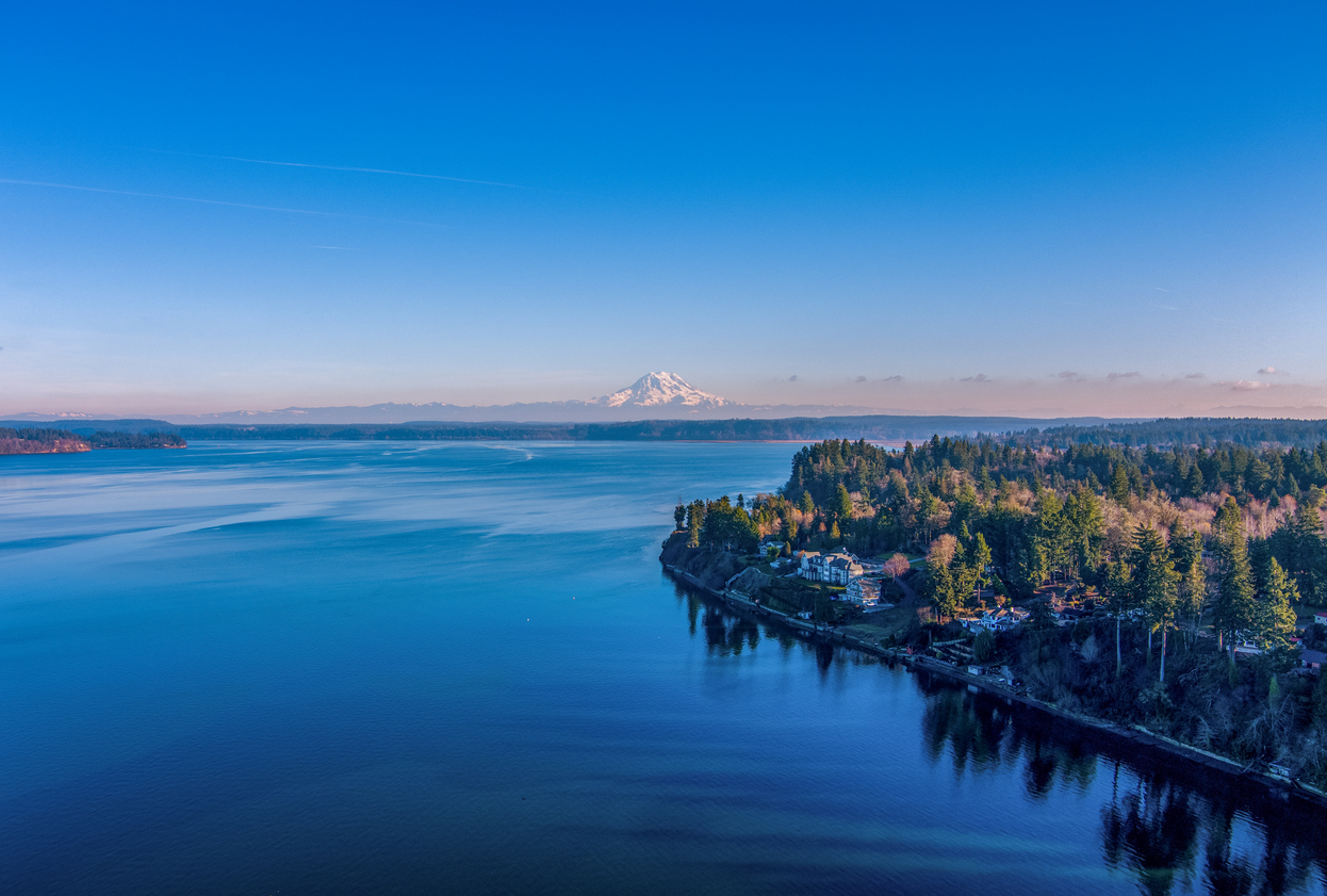 Panoramic Image of Lacey, WA